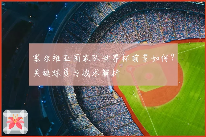 塞尔维亚国家队世界杯前景如何？关键球员与战术解析