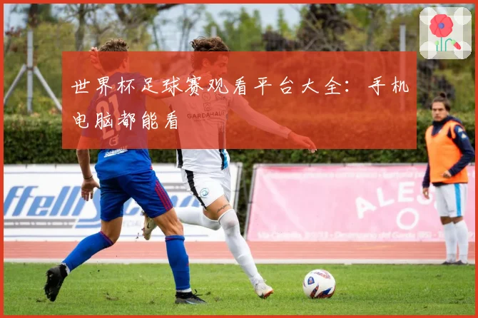 世界杯足球赛观看平台大全：手机电脑都能看