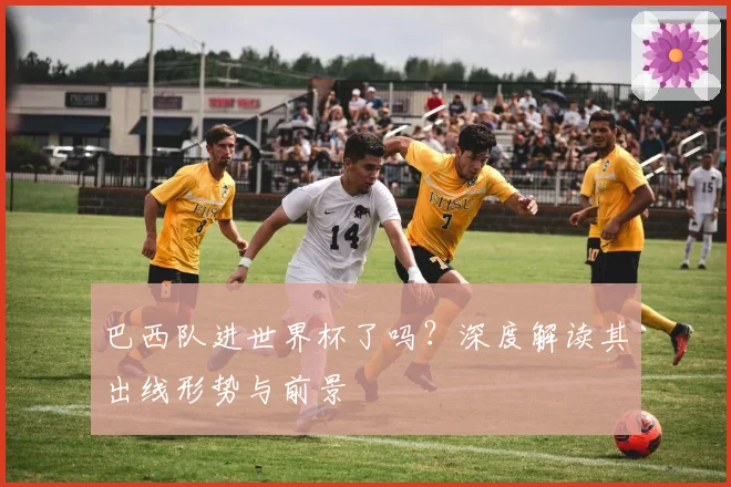 巴西队进世界杯了吗？深度解读其出线形势与前景
