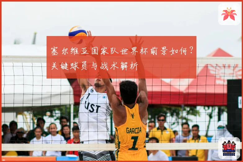 塞尔维亚国家队世界杯前景如何？关键球员与战术解析