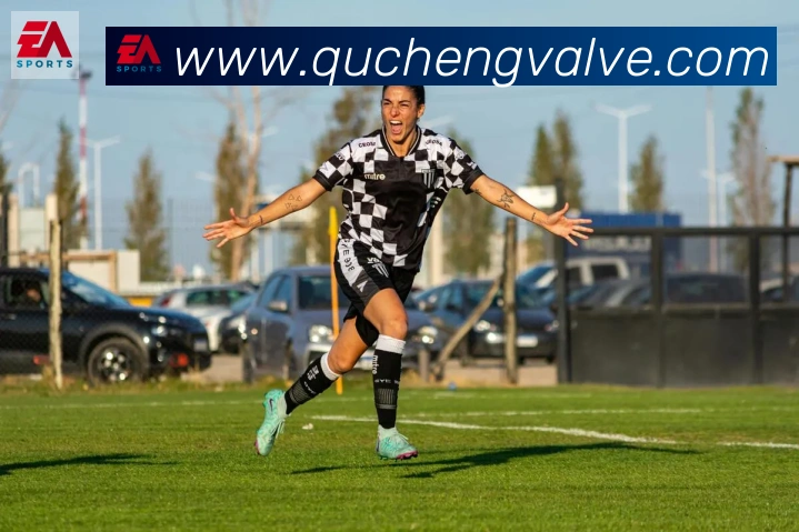 华体官方版在线登入平台生态图